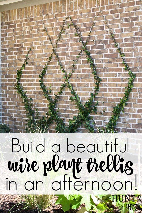 How to Build A DIY Wire Trellis on a Wall - Salvaged Living